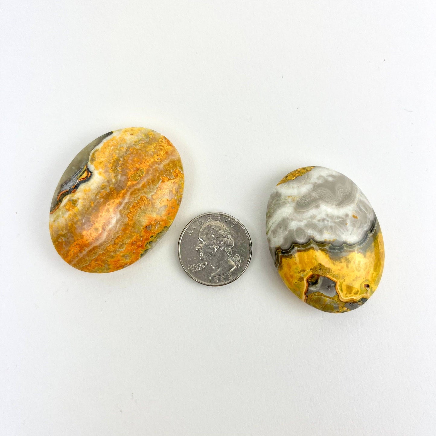 bumblebee jasper palm stone