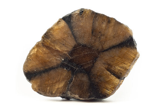 chiastolite