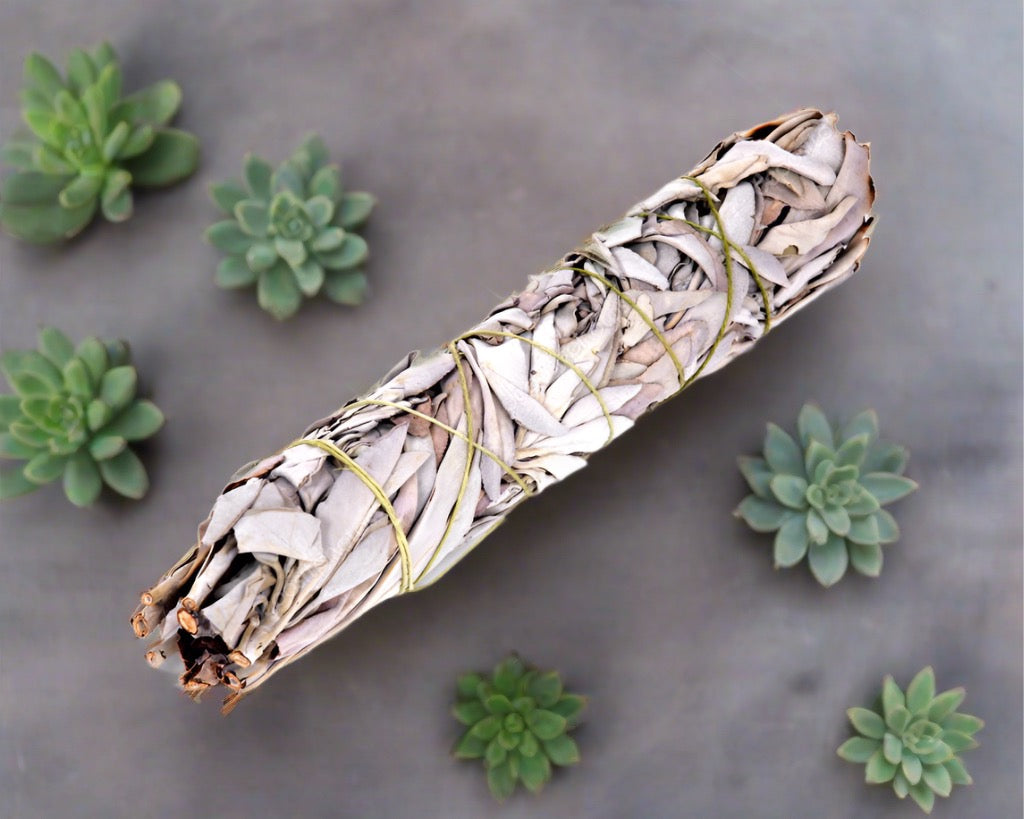 home-grown organic white sage smudge sticks