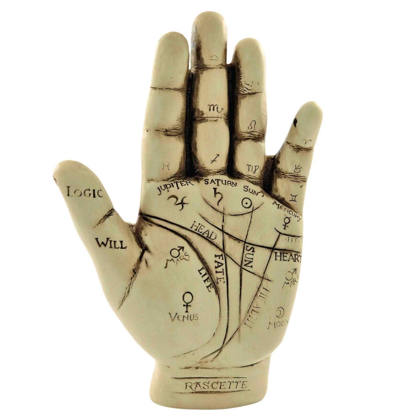 palmistry hand kit