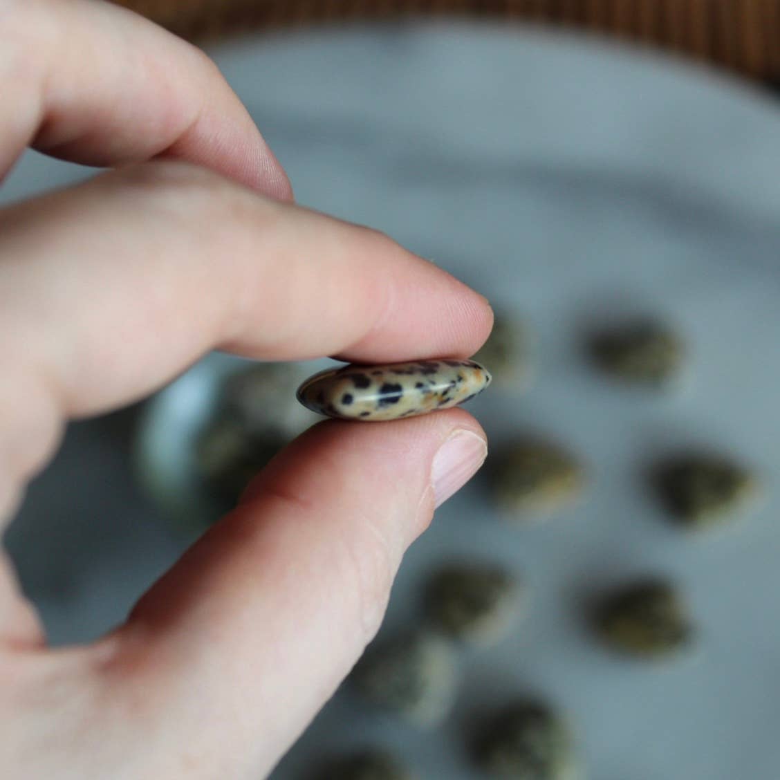 Dalmatian jasper heart