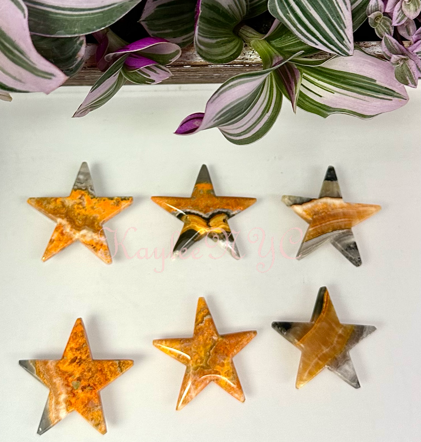 bumblebee jasper stars