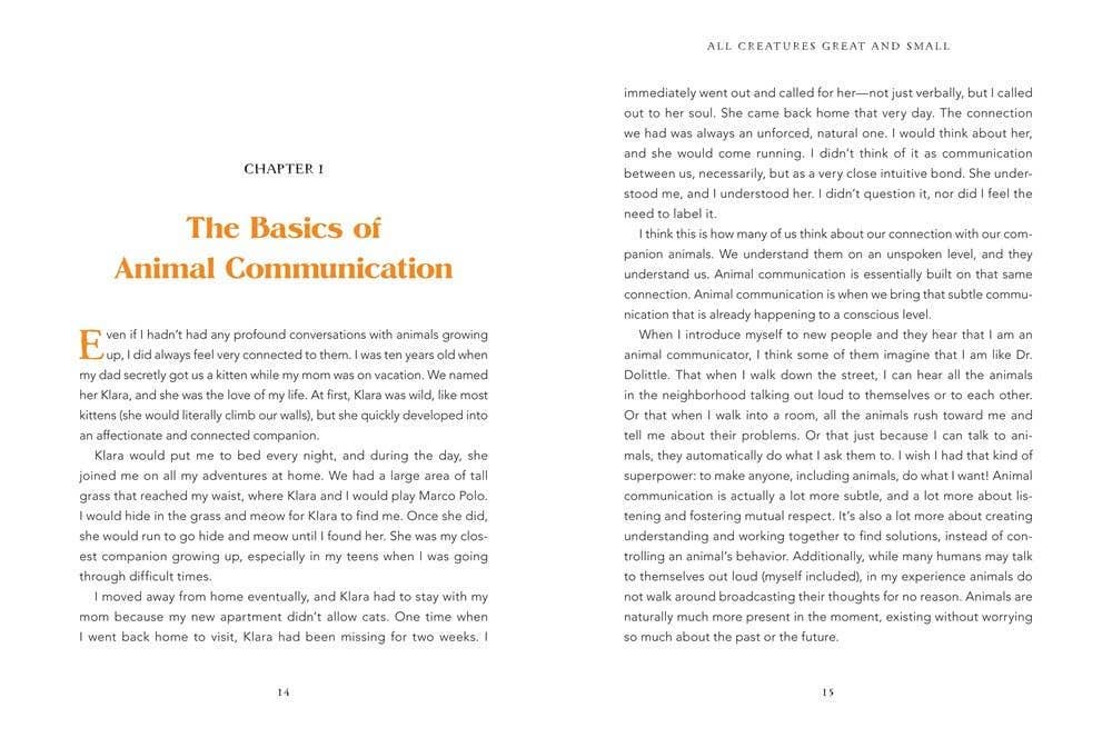 Animal Intuition: Communicating with Pets, Spirits, & Energy by Thea Strom