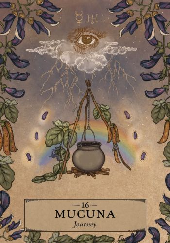 The Herbal Astrology Oracle by Adriana Ayales