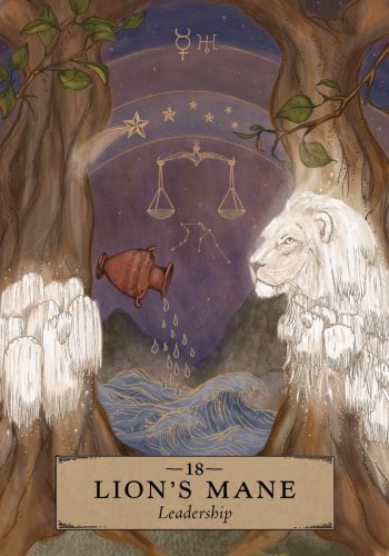The Herbal Astrology Oracle by Adriana Ayales