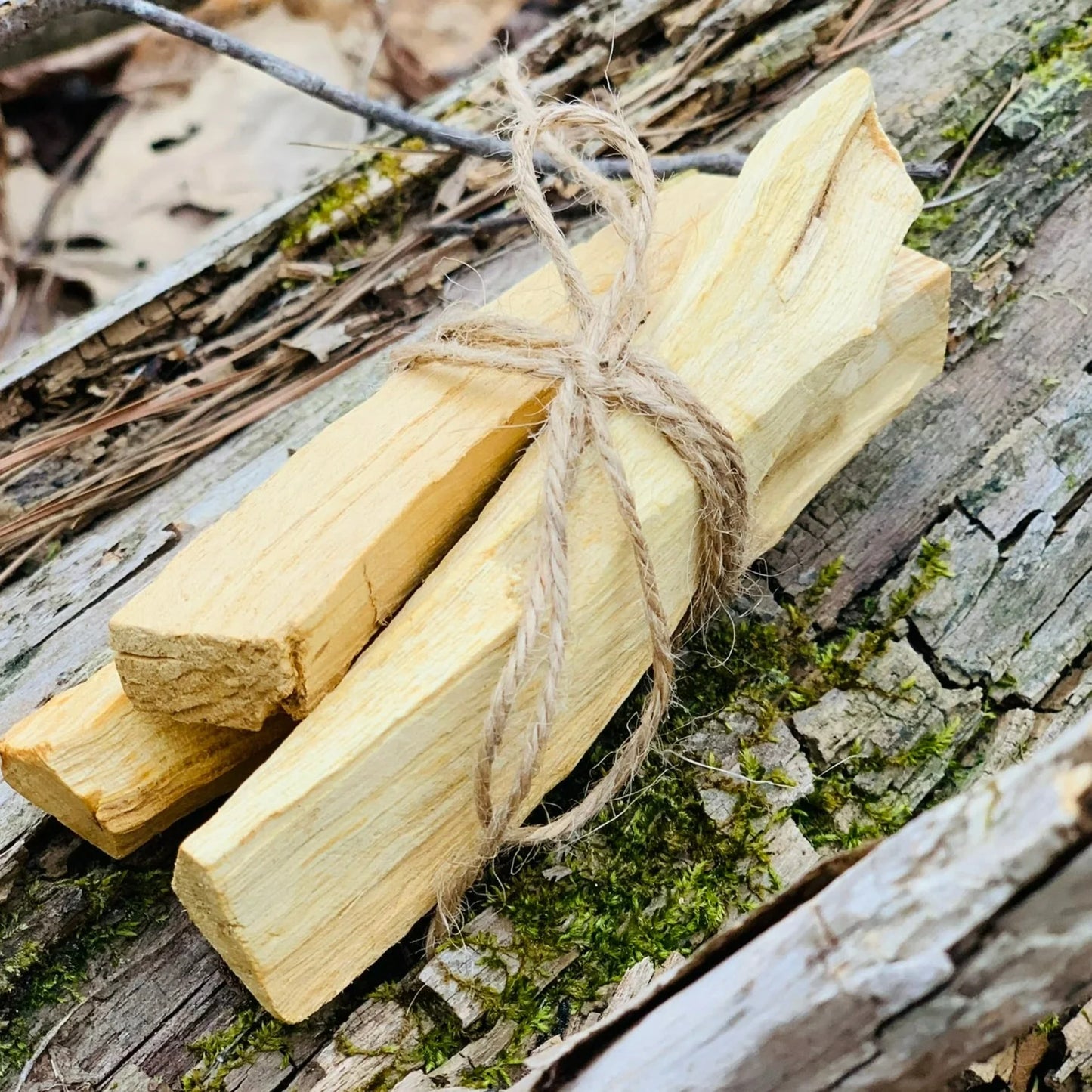 palo santo