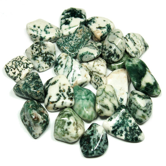 tree agate tumbles