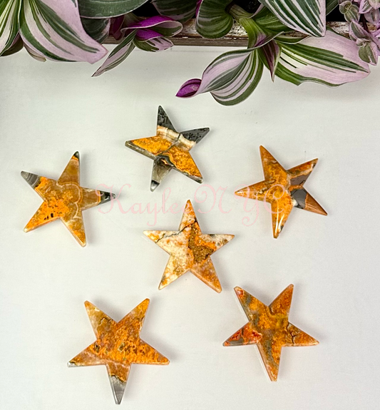 bumblebee jasper stars