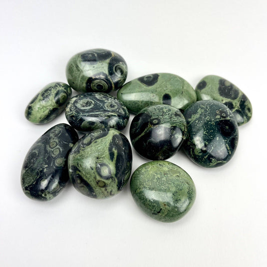 kambaba jasper palmstone